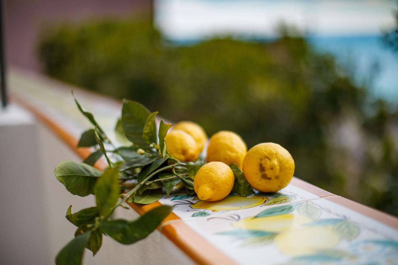 Il Sogno Di Positano Villa Amalfi Eksteriør billede